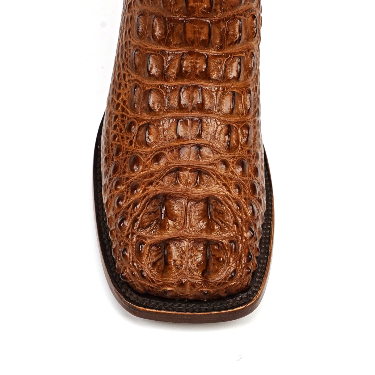 James - Antique - Square Toe (Alligator Head) (AP50)