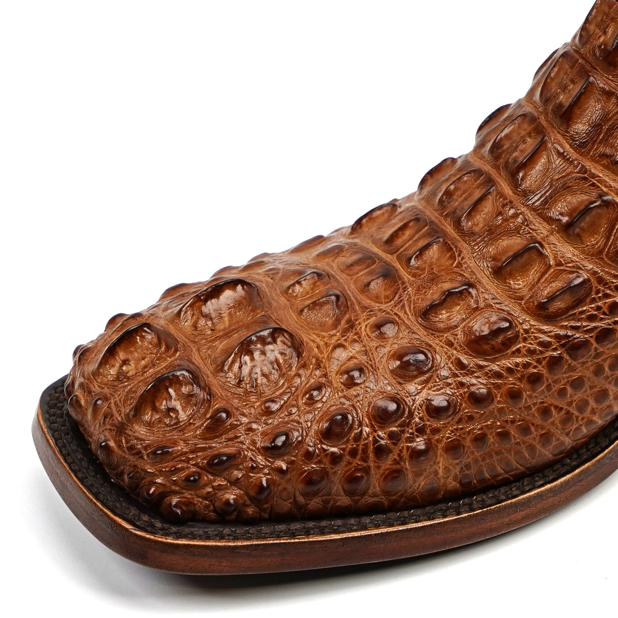 James - Antique - Square Toe (Alligator Head) (AP50)