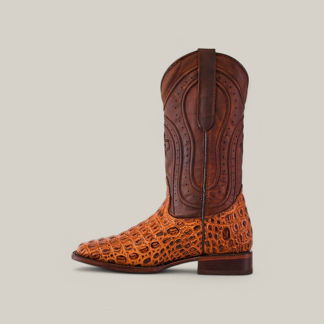 The Alligatoar Horn Back Print Honey features a textured orange alligator pattern on the foot, a brown upper shaft with decorative stitching, a pointed toe, and a low heel. It stands against a plain light gray background.