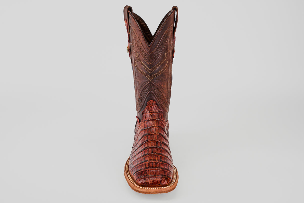 Exotic Caiman Tail - Cogñac - Square Toe