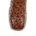 Botas Austin Ostrich - Tabaco - Punta cuadrada (AV20)