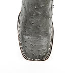 Botas Austin Ostrich - Gris - Punta Cuadrada (AV20)