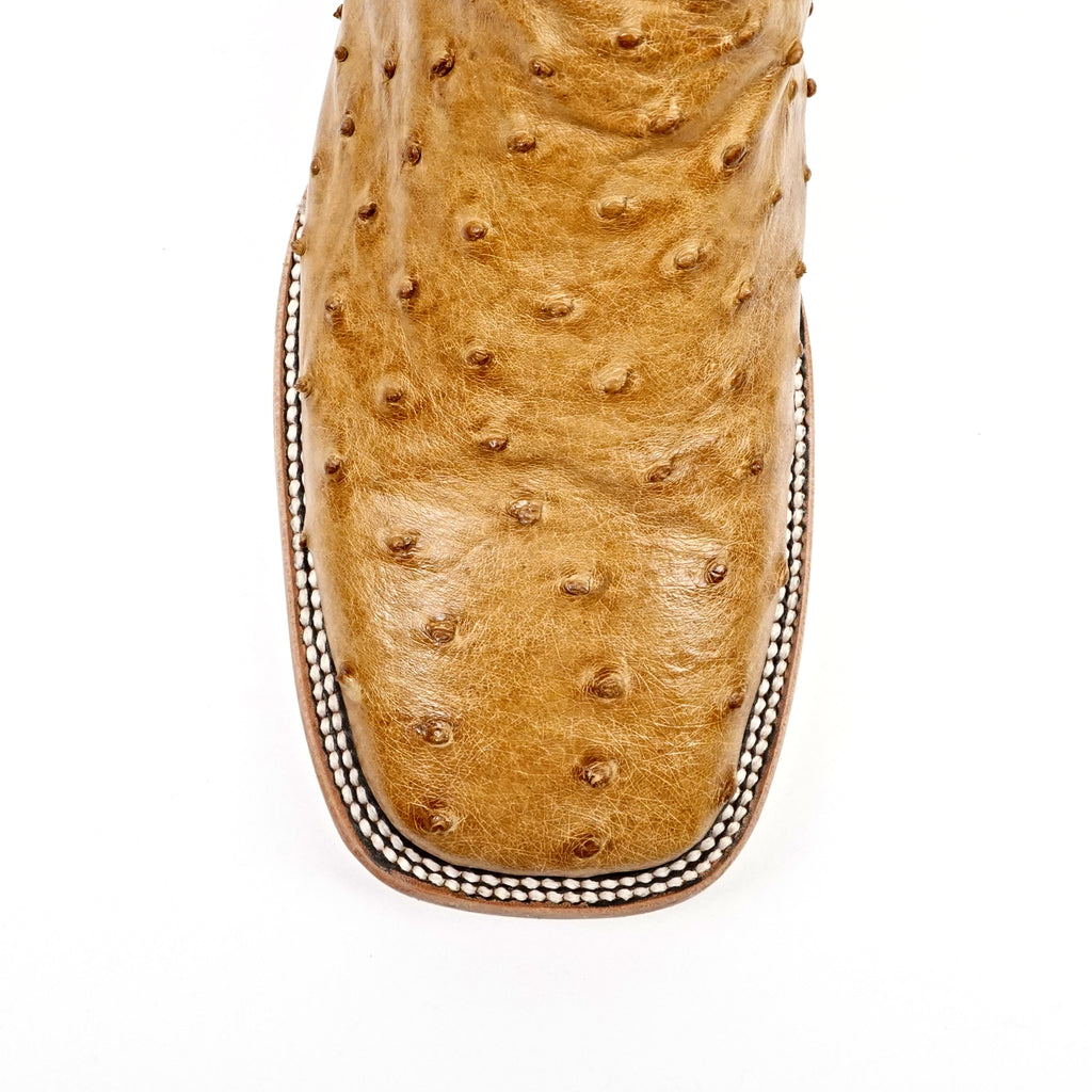 Botas de avestruz Austin - Color cervatillo - Punta cuadrada (AV20)