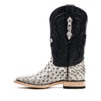 Botas Austin de Avestruz - Nicotine - Punta Cuadrada (AV20)