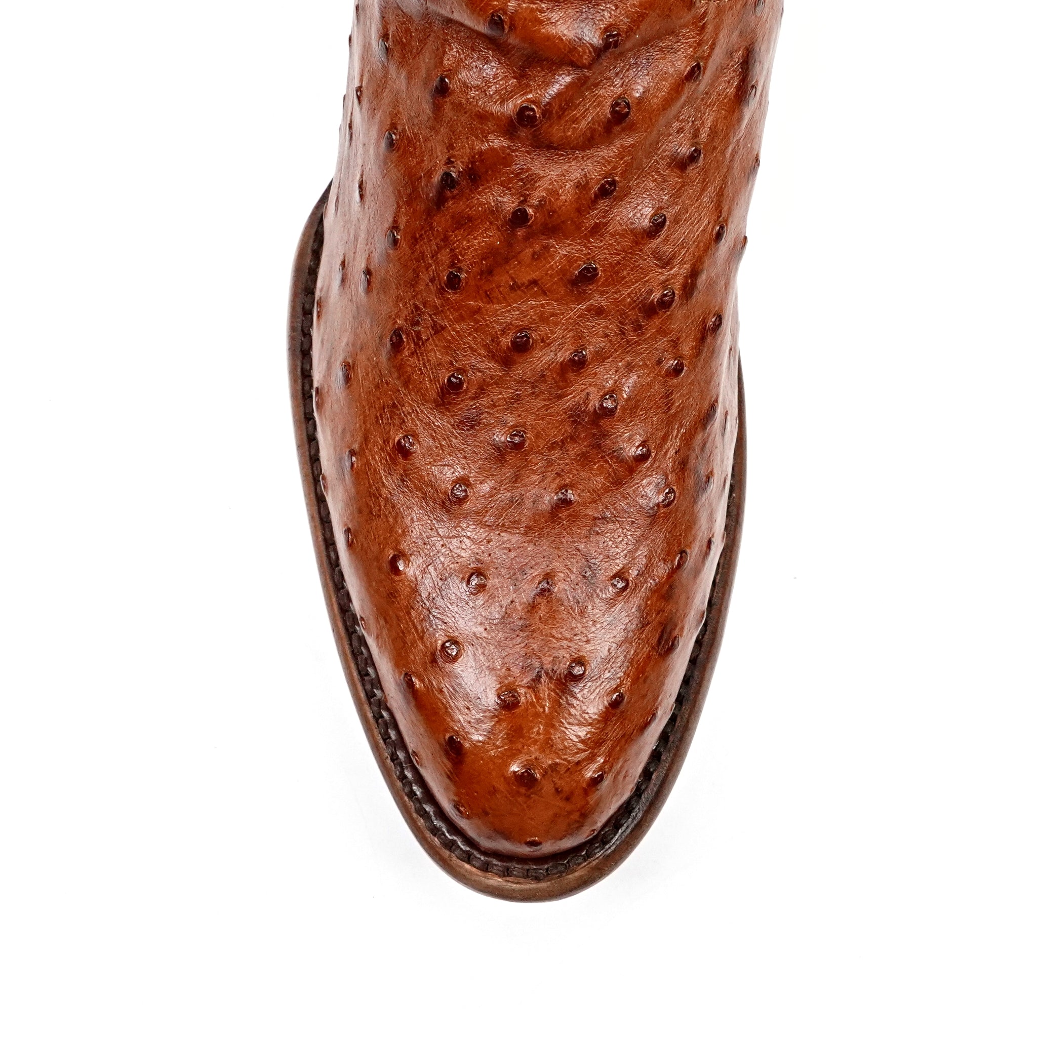 Botas de avestruz Austin - Brandy - Punta redonda (AV230)