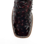 Botas Austin Ostrich - Cereza Negra - Punta Cuadrada (AV20)