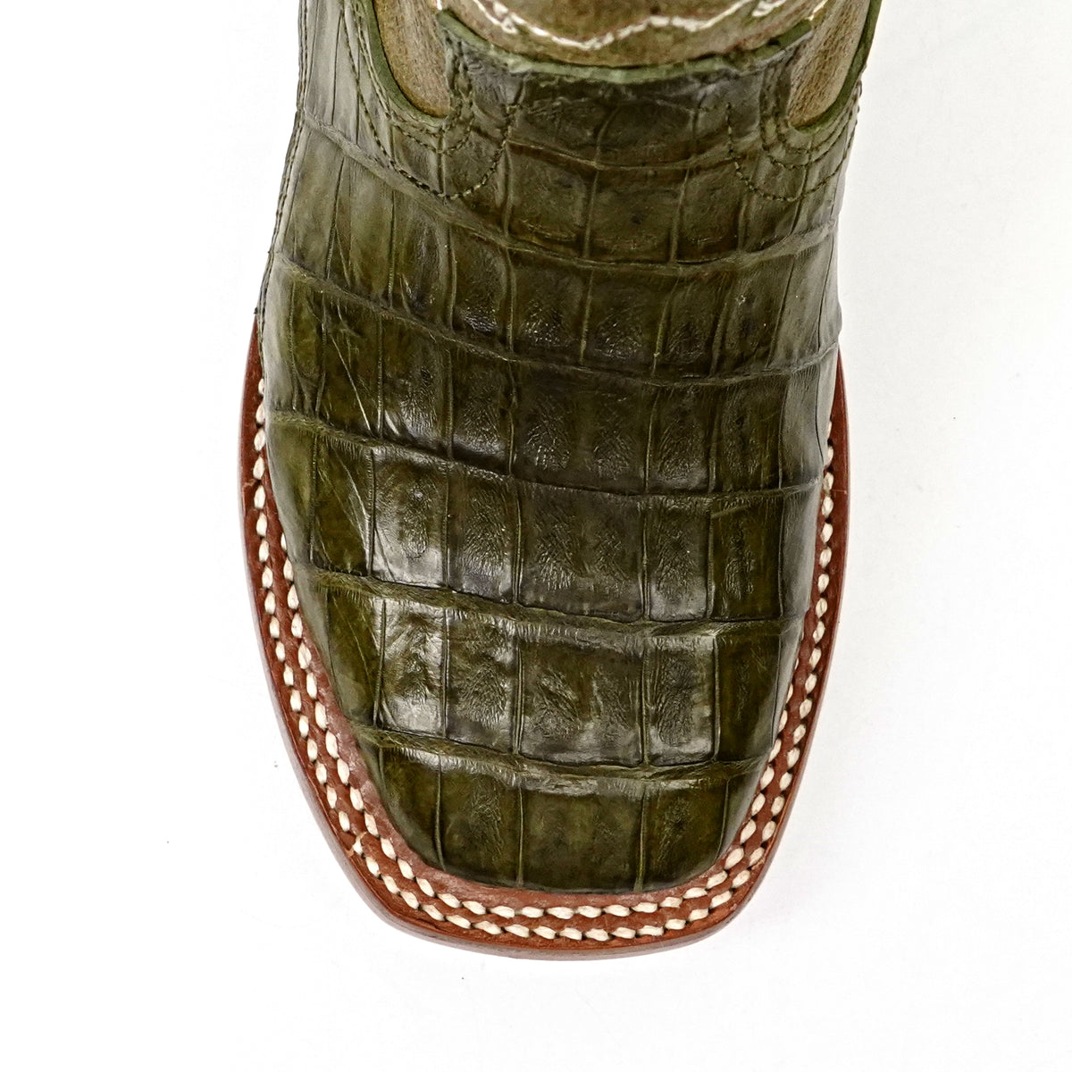 Kids Caiman Belly Agave Boots - Square Toe