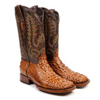 AP50 Alligator Nuca Antique H-501
