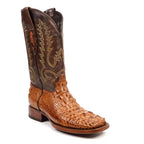 AP50 Alligator Nuca Antique H-501