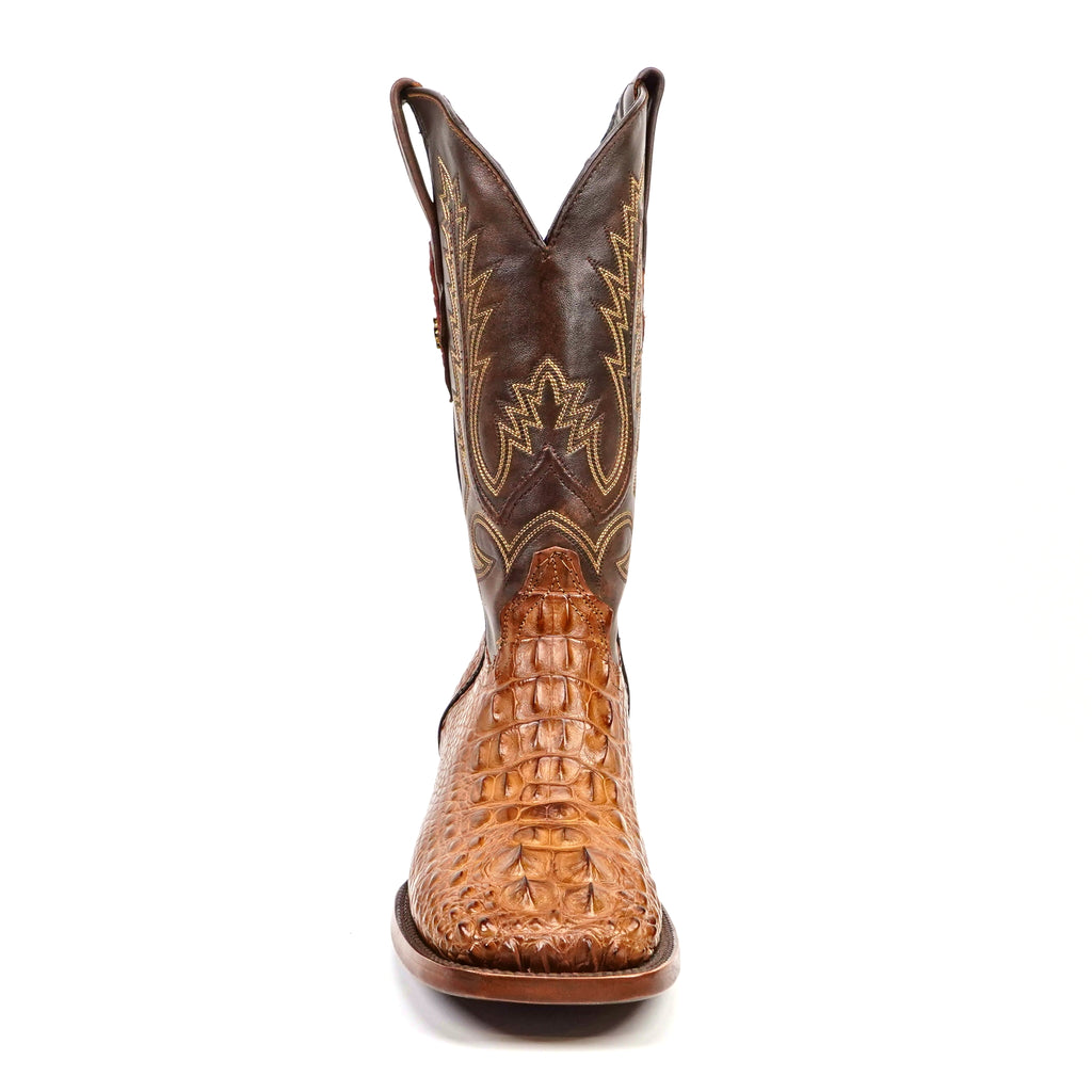 AP50 Alligator Nuca Antique H-501
