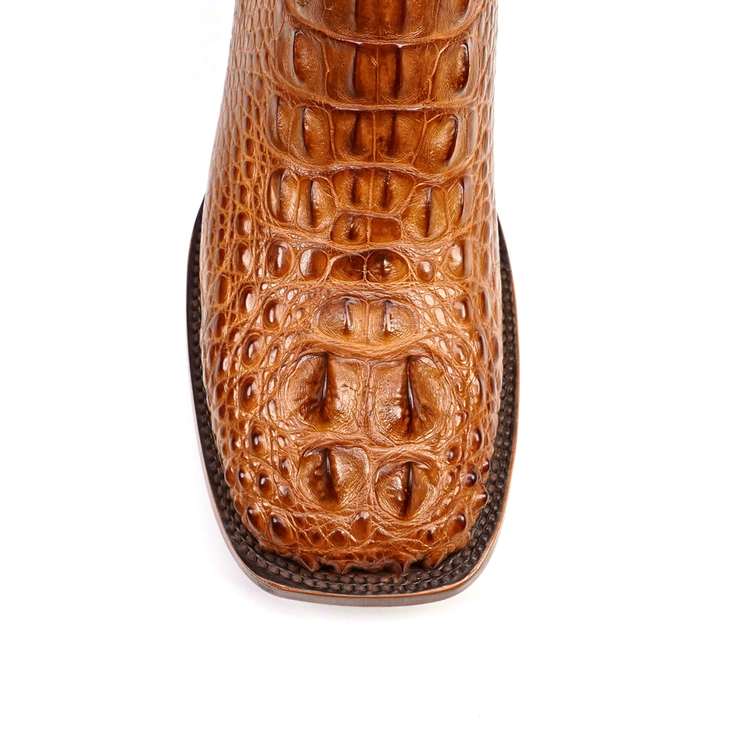 AP50 Alligator Nuca Antique H-501
