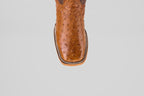 A top view of the Exotic Full Quilt Ostrich - Brandy Brucciato boot features brown leather, a square toe, and decorative edge stitching in classic cowboy style, set against a plain light gray background.