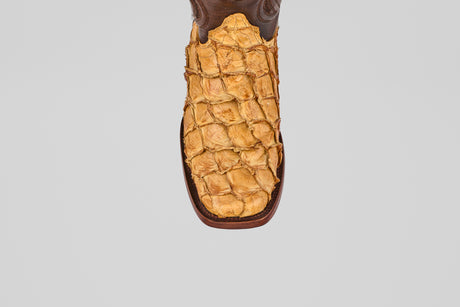 A top view of the Conor - Buttercup - Rodeo Toe boot features textured yellowish-brown leather reminiscent of exotic skin, set against a plain gray background, emphasizing its distinctive western style.