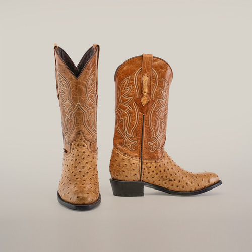 E436 Ave Ranch Orix