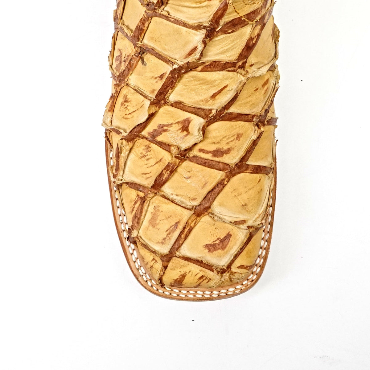 Butch Pirarucu Fish Boots - Caramel Buttercup - Square Toe - Gomez Western Wear